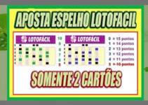 Espelho da Lotofacil ➜ Aposta com apenas 2 Volantes