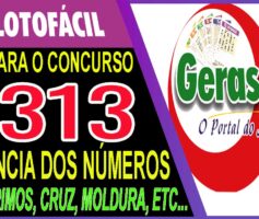 LOTOFACIL 3313 DICAS E ANALISE – CANAL GERASORTE