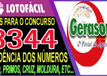 LOTOFACIL 3344 DICAS E ANALISE – CANAL GERASORTE