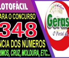 LOTOFACIL 3348 DICAS E ANALISE – CANAL GERASORTE