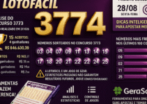 Dicas para o concurso 3774 da Lotofácil: análise e organização das apostas