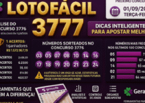 Dicas para o concurso 3777 da Lotofácil: análise e organização responsável