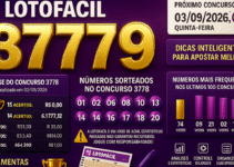 Dicas para o concurso 3779 da Lotofácil: análise e organização responsável