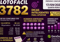 Dicas para o concurso 3782 da Lotofácil: análise e organização responsável