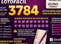 Dicas para o concurso 3784 da Lotofácil: análise e organização