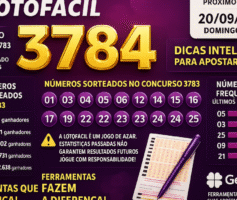 Dicas para o concurso 3784 da Lotofácil: análise e organização