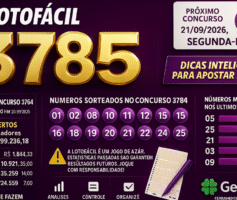 Dicas para o concurso 3785 da Lotofácil: análise e organização
