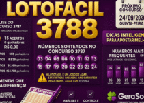 Dicas para o Concurso 3788 da Lotofácil: Análise e Estratégias Conscientes
